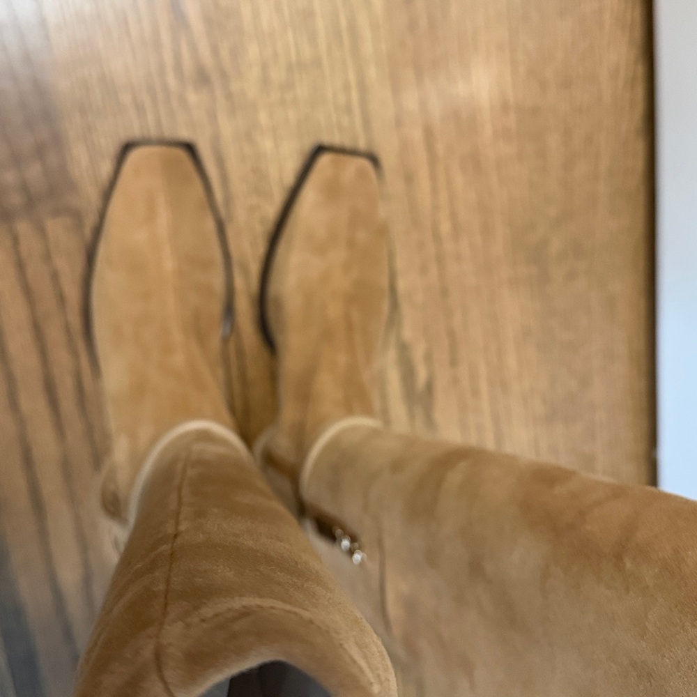 Daniella Shevel NY Tan Suede Knee-High Women's Boots Sz 39 NEW $995 Gorgeous! - Picture 6 of 10
